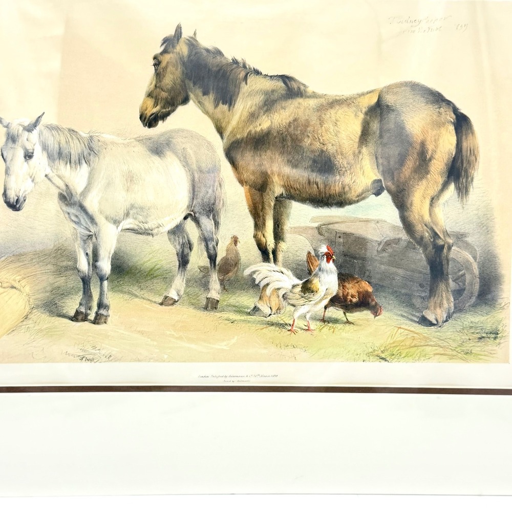 Thomas‎ Sidney Cooper 1839 Ackermann Lithograph Antique Horse Art Print